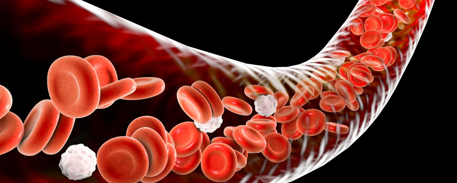 Enhances circulation, Standing Forward Bend, Standing Forward Bend Pose, Standing Forward Bend Benefits, Benefits of Forward Fold, Standing Forward Bend Yoga, Standing Forward Fold Yoga Pose, Standing Forward Fold Pose, Standing Forward Bend Yoga Pose, Standing Forward Fold Benefits, Standing Fold Pose, Benefits of Standing Forward Bend, Standing Forward Bending Asanas, Standing Forward Bend for Beginners