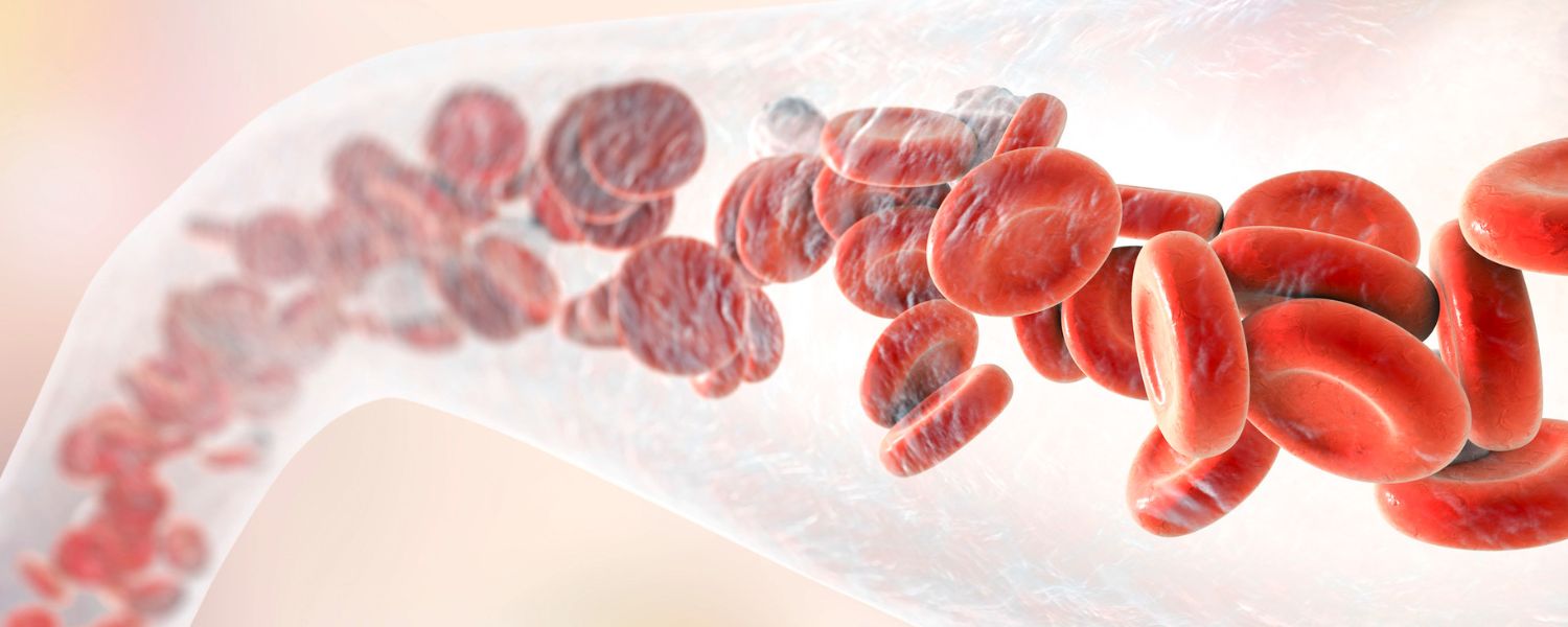 Yoga Wind Relieving Pose, Wind Relieving Pose Benefits, Wind Relieving Yoga Poses, Wind Relieving Yoga, Wind Relieving Pose, Wind Relieving Pose in Yoga, Wind Release Yoga Pose, Yoga Pose to Relieve Gas, Yoga Pose for Gas, Yoga Poses to Release Gas, Yoga Poses for Trapped Gas, Yoga Poses to Get Rid of Gas, Yoga for Trapped Gas, Gas Relieving Pose