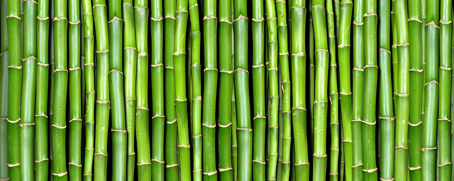 bamboo clothing, sustainable, soft, and stylish.