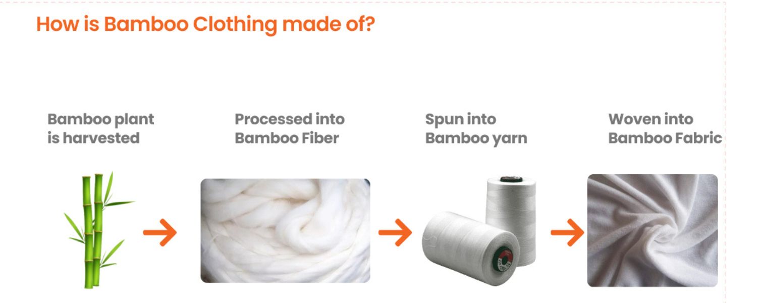 The Process Behind Organic Bamboo Fabric A Sustainable Journey