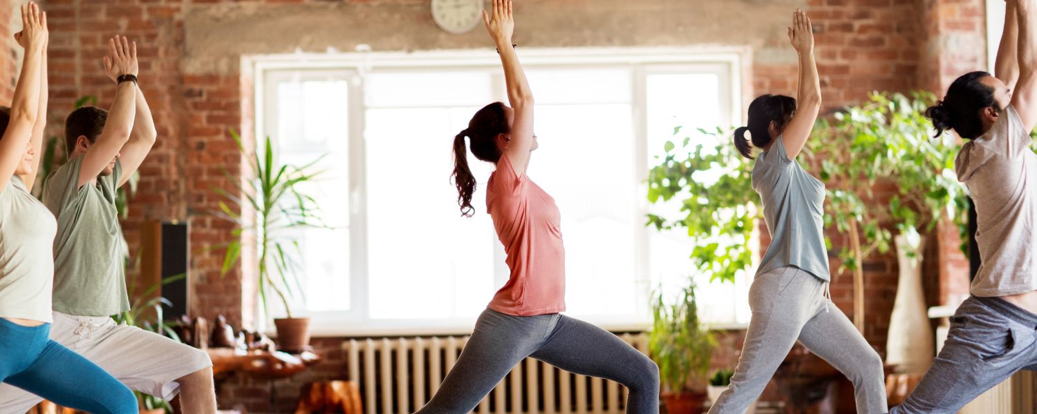 Warrior Poses Variations