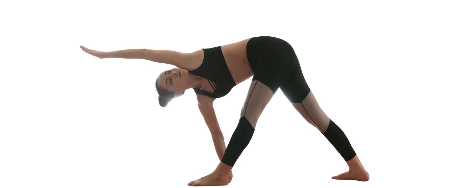 Revolved Triangle Pose Variations