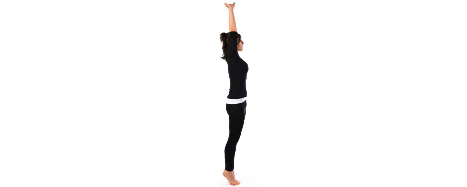 Palm Tree Pose Benefits