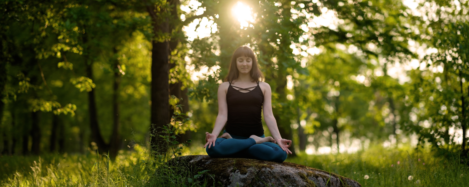 Prana Yoga and Ayurveda Mandala , Yoga And Ayurveda, Ayurveda Yoga, Yoga And Ayurveda Center, Ayurveda Retreat, Ayurveda Yoga Retreat, Yoga & Ayurveda Center, Ayurveda Retreat Near Me, Sadhguru Ayurveda, Yoga Ayurveda Center, Yoga And Ayurveda Science