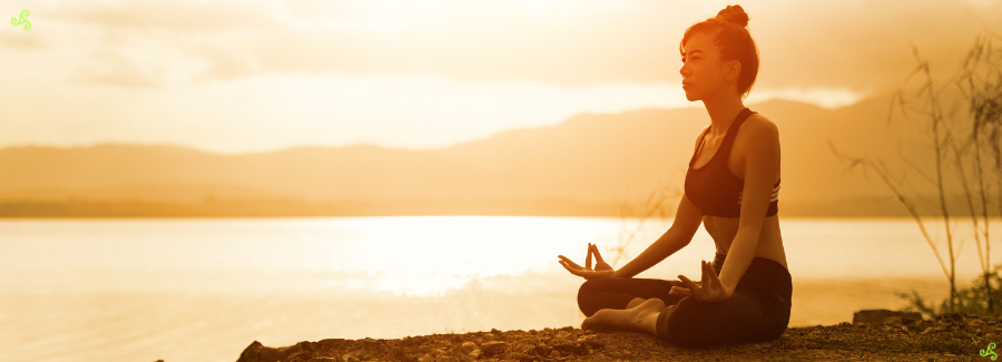 yoga shorts, yoga shorts women, yoga shorts with pockets, high waisted yoga shorts, women's yoga shorts, yoga shorts for women, yoga shorts womens, best yoga shorts