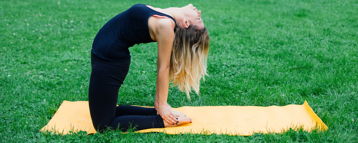 healthy exercise habits, health and fitness lifestyle, exercise for healthy life, exercise and healthy lifestyle, benefits of balanced diet and regular exercise, exercise healthy lifestyle, the benefits of regular exercise, healthy and active lifestyle